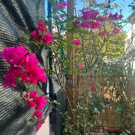 Il Giardino شقة *